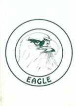 Saydel High School 1985 yearbook cover photo