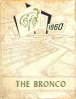 Holly Pond High School 1960 yearbook cover photo