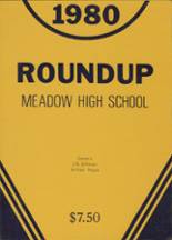 Meadow High School 1980 yearbook cover photo