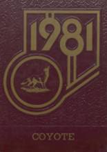 1981 Shelby High School Yearbook from Shelby, Montana cover image