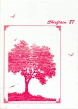 Calumet High School 1987 yearbook cover photo