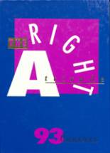 1993 Oconto Falls High School Yearbook from Oconto falls, Wisconsin cover image