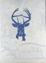 Tivy High School 1951 yearbook cover photo