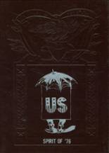1976 New Berlin Central High School Yearbook from New berlin, New York cover image
