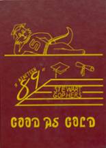 1989 Stewart High School Yearbook from Stewart, Minnesota cover image