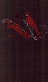 Johnston City High School 1929 yearbook cover photo