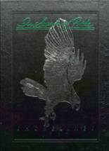 1989 Lake Shore Central High School Yearbook from Angola, New York cover image