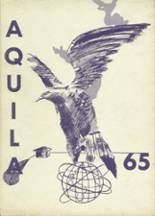 1965 Downsville Central High School Yearbook from Downsville, New York cover image