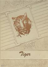 1987 Temple High School Yearbook from Temple, Oklahoma cover image