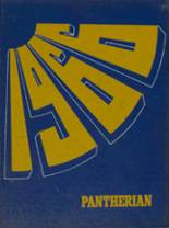 Saegertown High School 1966 yearbook cover photo