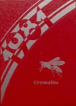 1981 Crystal City High School Yearbook from Crystal city, Missouri cover image