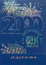 Hartshorne High School 2000 yearbook cover photo