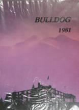 Butte High School 1981 yearbook cover photo