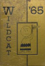 Madill High School 1965 yearbook cover photo
