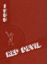 1955 Decatur Community High School Yearbook from Oberlin, Kansas cover image