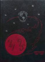 1995 Carthage High School Yearbook from Carthage, New York cover image