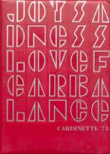 1973 Clarkfield High School Yearbook from Clarkfield, Minnesota cover image