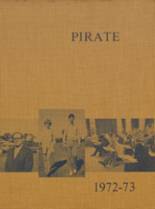 Cedarville High School 1973 yearbook cover photo