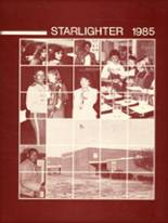Ninety Six High School 1985 yearbook cover photo
