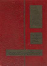 1965 Augustinian Academy Yearbook from St. louis, Missouri cover image