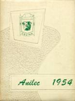 Celina High School 1954 yearbook cover photo