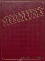Andalusia High School 1985 yearbook cover photo