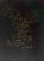 1981 Thornton Fractional South High School Yearbook from Lansing, Illinois cover image