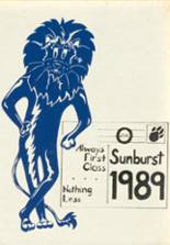 1989 Washington High School Yearbook from Washington court house, Ohio cover image