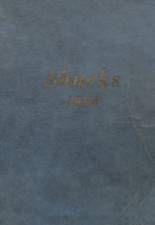 Madison High School 1924 yearbook cover photo