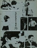 Hamilton Southeastern High School 1973 yearbook cover photo