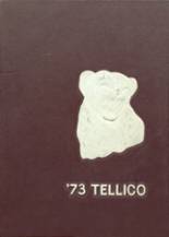 Tellico Plains High School 1973 yearbook cover photo