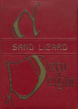 Dardanelle High School 1968 yearbook cover photo