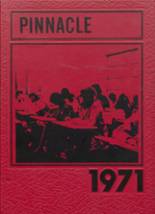 1971 Rock Hill Academy Yearbook from Charlottesville, Virginia cover image