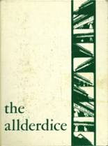 Allderdice High School 1971 yearbook cover photo