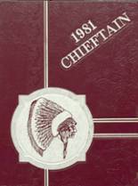 1981 Southern Fulton High School Yearbook from Warfordsburg, Pennsylvania cover image