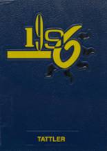 Conneaut High School 1996 yearbook cover photo
