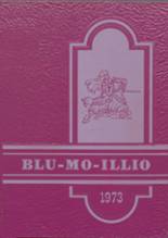 Blue Mound High School 1973 yearbook cover photo