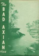1954 Bad Axe High School Yearbook from Bad axe, Michigan cover image