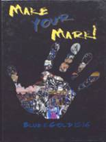 2016 Hayfield High School Yearbook from Hayfield, Minnesota cover image