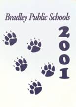 Bradley High School 2001 yearbook cover photo