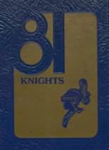 1981 St. Michael-Albertville High School Yearbook from Elk river, Minnesota cover image