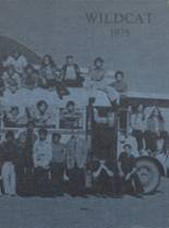 Brunswick High School 1975 yearbook cover photo
