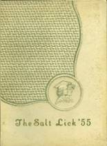 Salisbury-Elk Lick High School 1955 yearbook cover photo