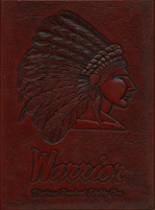 1982 Ohatchee High School Yearbook from Ohatchee, Alabama cover image