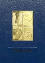 1995 Vernon-Verona-Sherrill High School Yearbook from Verona, New York cover image