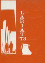 1973 Riverside High School Yearbook from El paso, Texas cover image