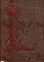 Johnson City High School 1951 yearbook cover photo