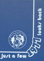 1977 Frankfort High School Yearbook from Frankfort, Indiana cover image