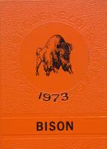 Buffalo High School 1973 yearbook cover photo