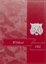 Frankfort High School 1961 yearbook cover photo